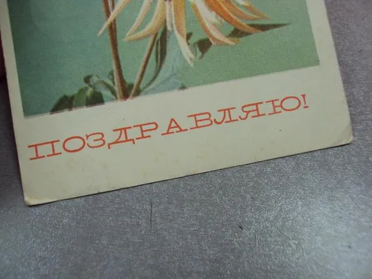 открытка поздравляю георгины 1968 матанова №10930 Продаж