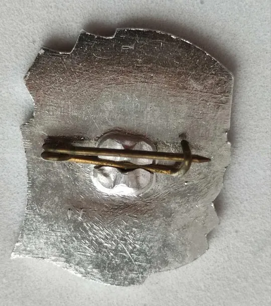 Значок СССР 1905 лейтенант Шмидт dt736 Продаж