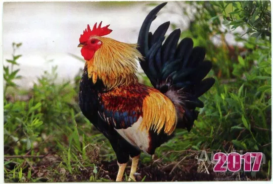 Календарик карманный Петух 2017 #2 Ціна