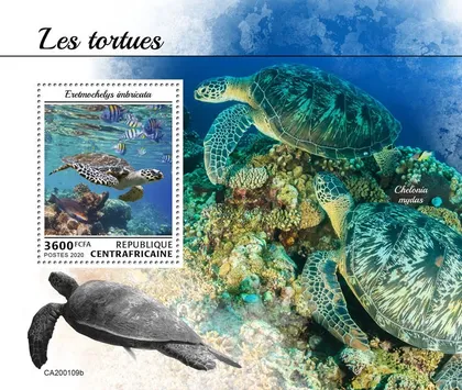 фото, ЦАР-Черепахи-2020.Чистый полный комплект.MNH.