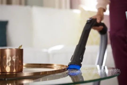 Пылесос Philips FС9550/09 900 Вт Продаж