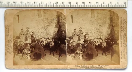 Купити Стереопари стереофото стереоскопічні карточки, 5 штук, 1900-ті, США