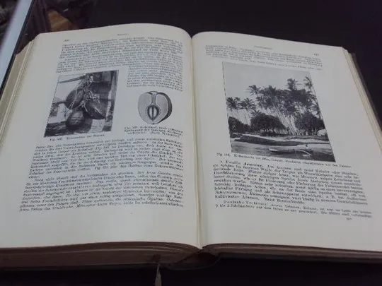 книга Eduard Strasburger учебник по ботанике, lehrbuch der botanik 1908 №68 Недорого