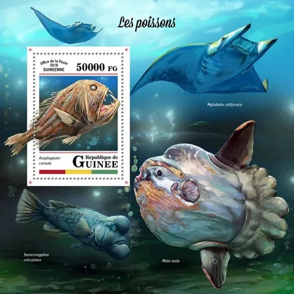 фото, Гвинея -Рыбы-2018.Чистый полный комплект.MNH.