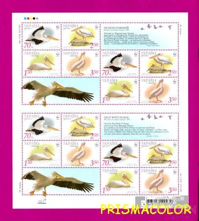 фото, ** УКРАИНА 2007 N855А-858А лист Фауна Пеликаны С КУПОНОМ ! !