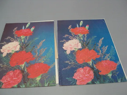 Купити Открытка телеграмма цветы гвоздики фото И. Дергилева лот 2 шт №16157