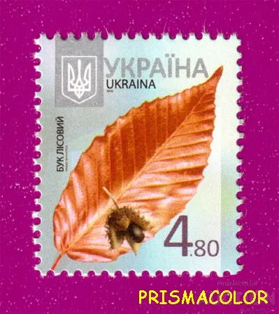 фото, ** УКРАИНА 2012 N1175 марка 8-ой Стандарт 4,80 Бук Флора