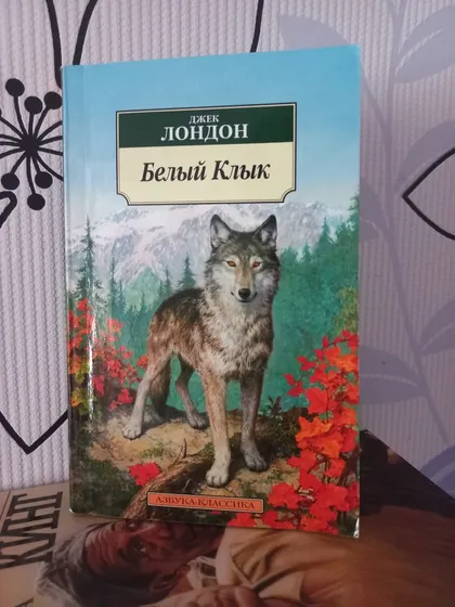 фото, Джек Лондон "Белый клык"