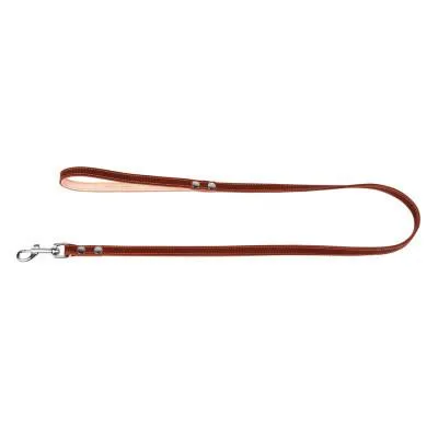 Купити Поводок для собак Collar двойной с прошивкой Ш 25 мм Д 122 см коричневый (04826)