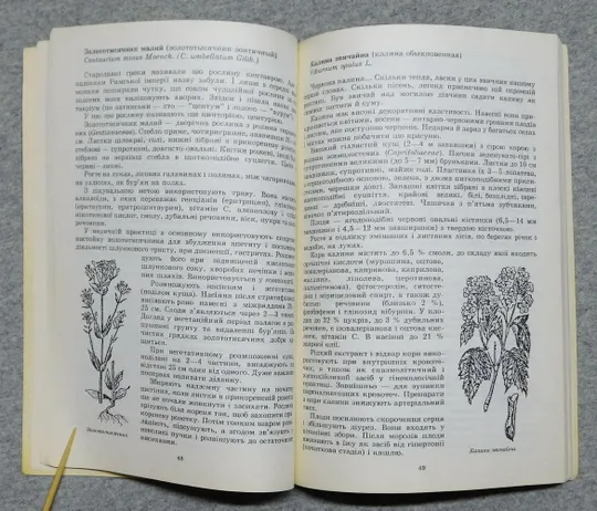 Книга - Лікарські рослини на присадибній ділянці 1993 рік - Ф. Мамчур, Я. Гладун Продаж