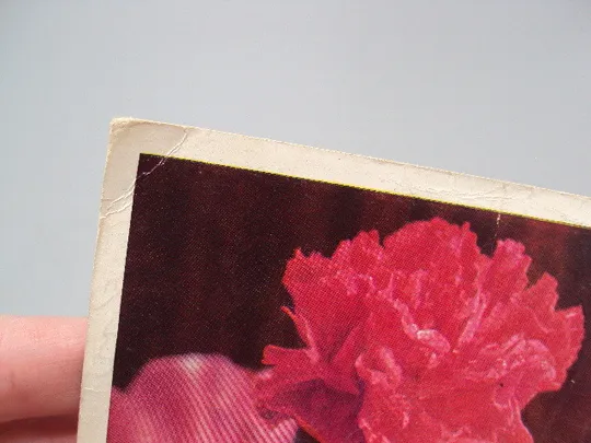 Открытка С праздником октября! цветы гвоздики фото Г. Костенко 1973 год №16082 Продаж