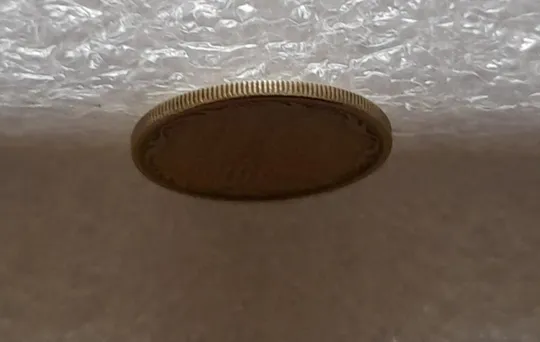 (3652) 10 копійок 2006 розкол між 1 та 2 гронами на реверсі (10 копеек 2006 брак) Інтернет-аукціон