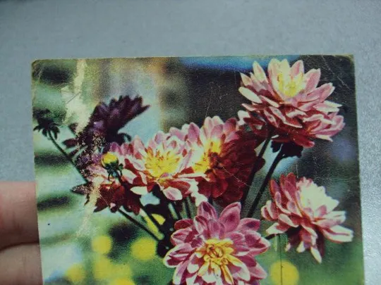 открытка поздравляю 1968 папикьяна почта №10938 Характеристики