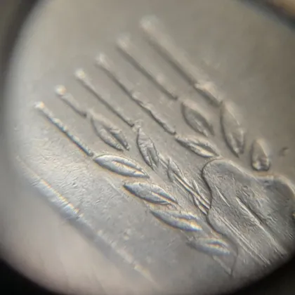 фото, (5244) 50 копійок 1992 1АЕк брак "бамбук" на правих дубових листках на аверсі (груба шліфовка) (50 копеек 1992 1АЕк)