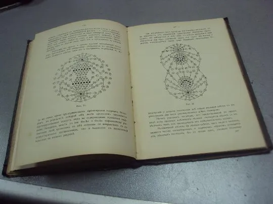 книга б.ф.вериго биология клетки основа учения о размножении 1913 одесса №182 Інтернет-аукціон