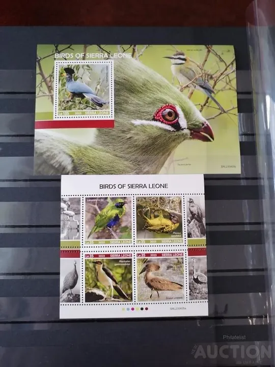 Сьерра Леоне - Птицы -2023. Чистый полный красивый комплект. MNH. Ціна