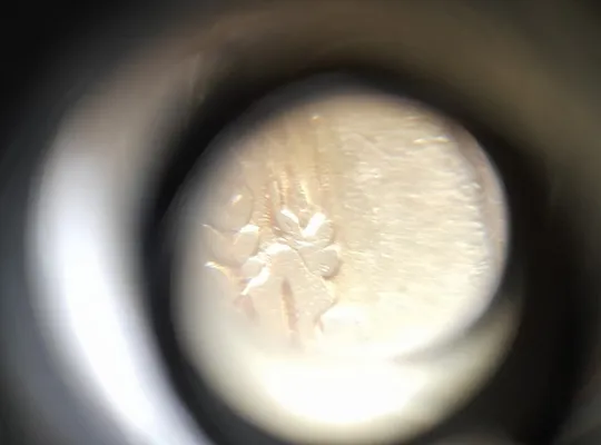 (2510) 50 копійок 1992 2.1ААм викрошка в 4 колосі на аверсі (50 копеек 1992 2.1ААм брак) Де купити