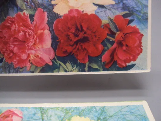 Купити Открытка телеграмма гвоздики фото Г. Костенко художник А.В. Плетнев 1967 и 1972 год лот 2 шт №16160