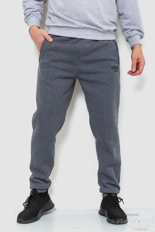 Спорт штаны мужские на флисе, цвет серый, 244R41515 Ціна