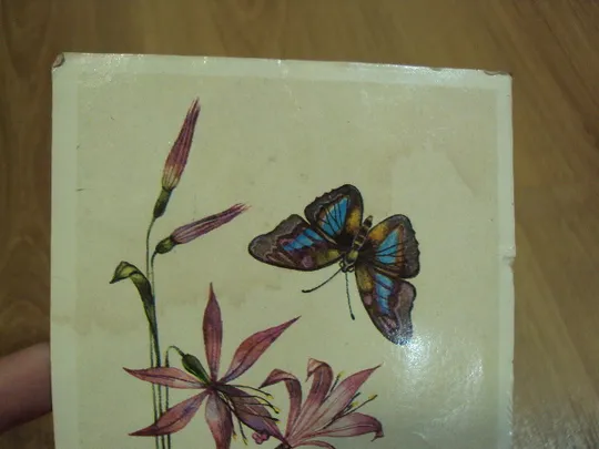 Открытка Поздравляю! цветы бабочка художник Н. Савельева 1989 год №18657 З аукціону