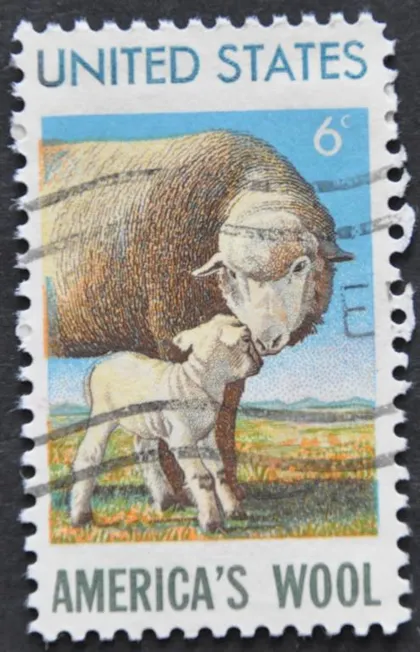 фото, США Фауна Овцы Шерсть 1971