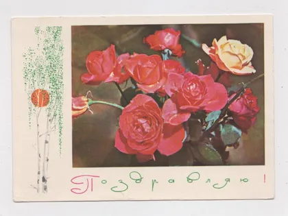 фото, ПОЗДРАВЛЯЮ - ПОЗДОРОВЛЯЮ = РОЗЫ - ТРОЯНДИ = ДМПК 1969 р. = ГЕОДАКОВ, ФИЛИППОВ = чиста &