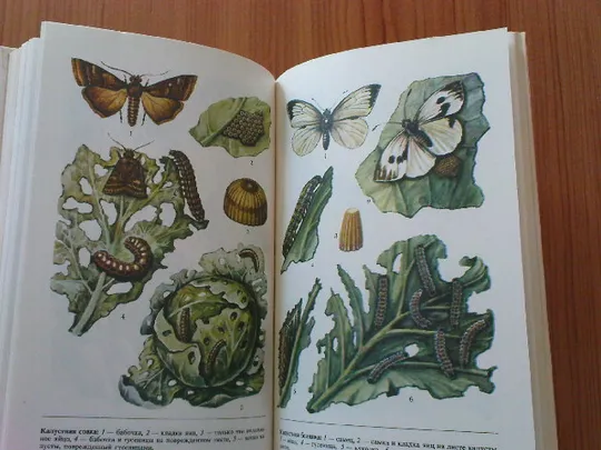 Попович П.Д.; Матвеевский А.С. и др. Справочник по удобрению и защите растений в коллективных садах и на приусадебных участках Характеристики