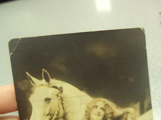 Купити открытка девушка с лошадью №10918