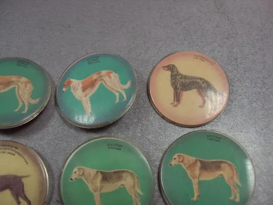 знак детский собака круглый лот 12 шт №4711 Де купити