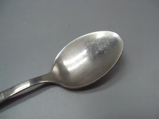 Столовые приборы чайная ложка нерж ЗиШ узор цветы листья листочки нержавейка длина 14,1 см №18631в Продаж