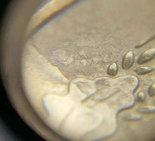 (7835) 50 копійок 2013 'борозда' (розшарування) на аверсі та реверсі (50 копеек 2013 цікавий брак) Продаж