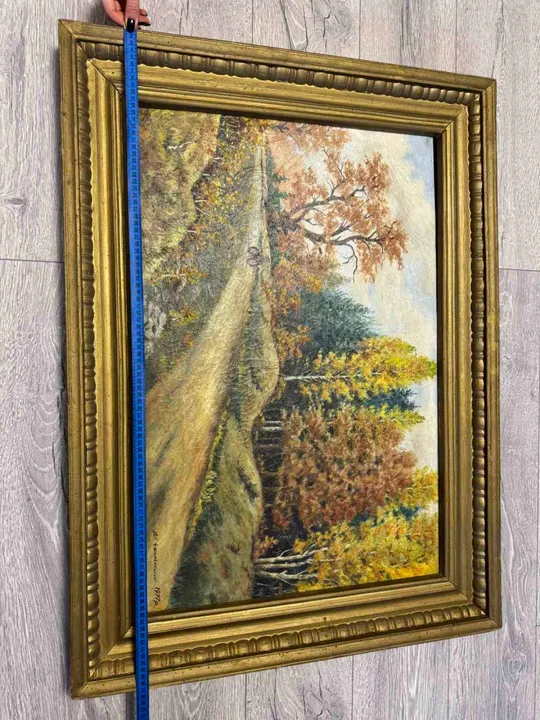 Картина Ю.С.Чаплінський. Краєвиди Мирополя. Дорога на Вільху. 1977р. Характеристики