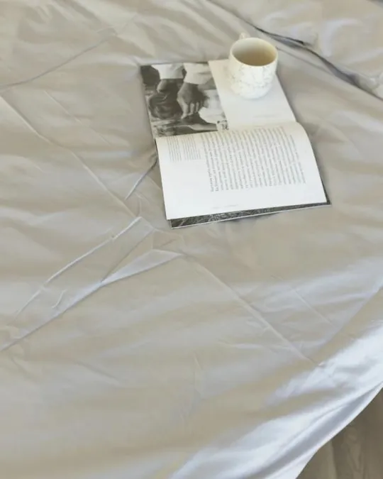 Постельное белье евро Dushka Home Сатин Люкс 20934 200х220 см холодный белый Недорого