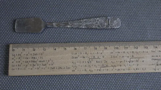 Ложка гірчична стара радянська нержавійка Вживане З аукціону