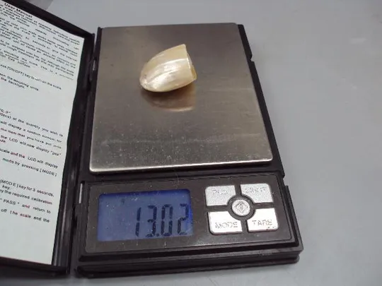 Фигура деталь миниатюра перламутр ракушка, имитация жемчуга размер 3 х 1,7 см, вес 13,02 г №15067 Характеристики