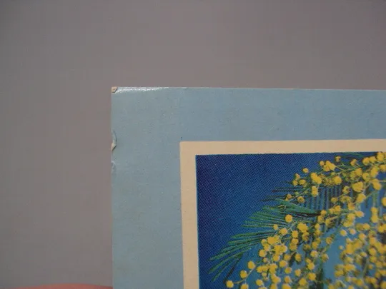 Купити Открытка 8 марта цветы мимозы художник С. Гришин фото Б. Миндель 1970 год №17834