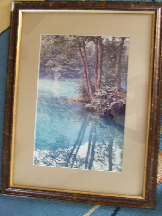 Купити Репродукция в раме под стеклом раз. 60 х 45 см. 2000 гг. Ужгород