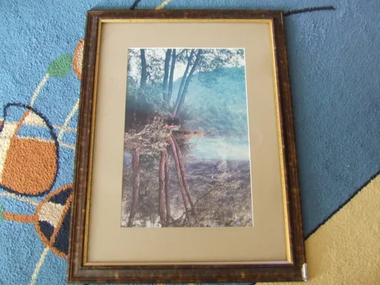 Репродукция в раме под стеклом раз. 60 х 45 см. 2000 гг. Ужгород З аукціону