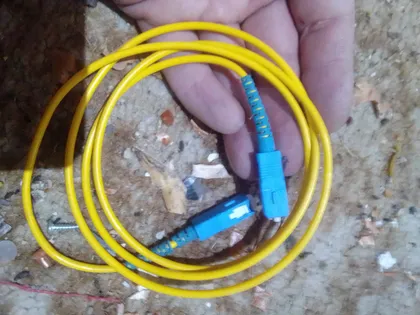 фото, патчкорд