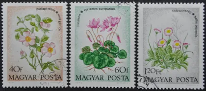 фото, Венгрия Флора Цветы 1973