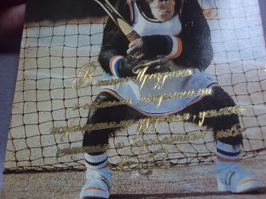 Купити открытка шимпанзе кооператив кировец №345