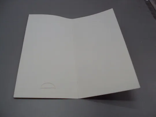 Открытка Поздравляем молодых! Вітаємо молоде подружжя! тиснення ручна робота чиста №18191л Недорого