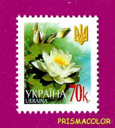 фото, ** УКРАИНА 2005 N679 марка 6-ой Стандарт Цветы 0-70