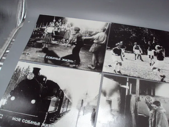 Купити Кадр из фильма Моя собачья жизнь 1, 2, 3, 4, 5, 6 - 92 фотография 23,7х18,3 см лот 6 шт №18352МЯ