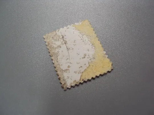 Купити марка США 1998 стандарт личности Мэри Карсон Брекинридж медсестра-акушерка негаш №2522