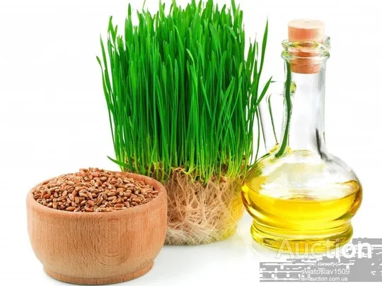 Купити Масло зародышей пшеницы холодного отжима (100мл) стеклянная бутылка