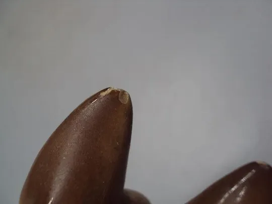 Фигура фарфор статуэтка Германия собака овчарка собачка высота 13,7 см, длина 21,4см скольчик №13993 Інтернет-аукціон