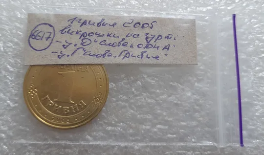 (6617) 1 гривня 2005 викрошки у букві "Д" слова "ОДНА" та у 'Г' слова 'ГРИВНЯ' на гурті (1 гривна 2005 брак) Недорого