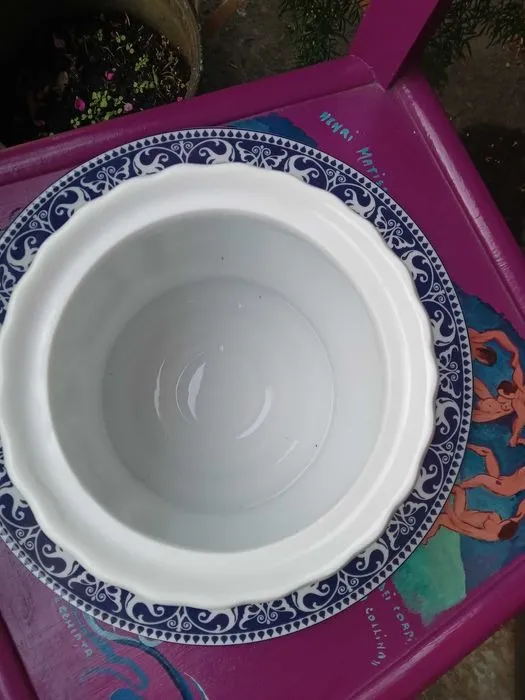 Купити Бісквітниця, biscoteriera