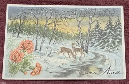 фото, Поштова листівка 1900-1960